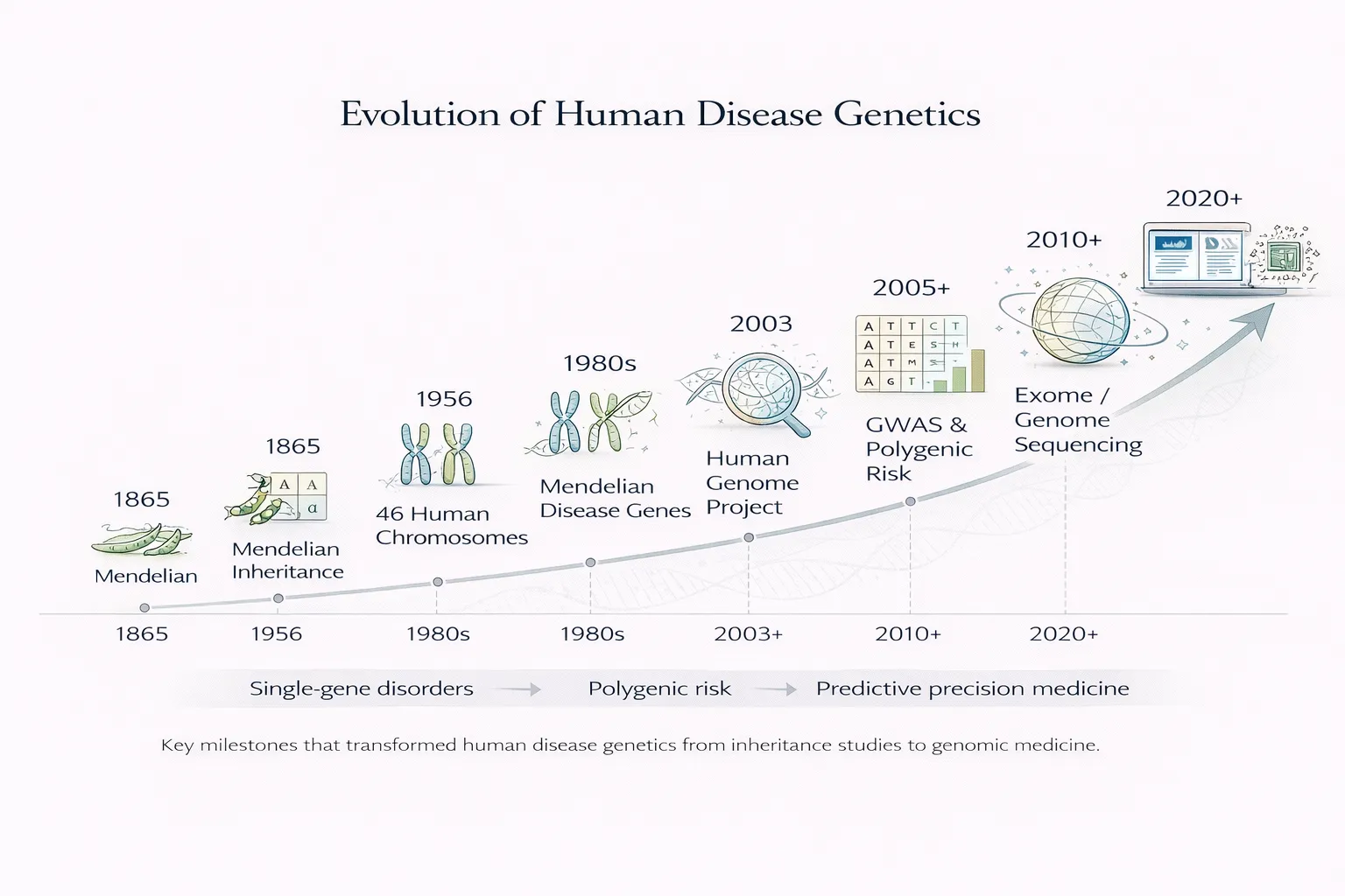 History of human disease genetics