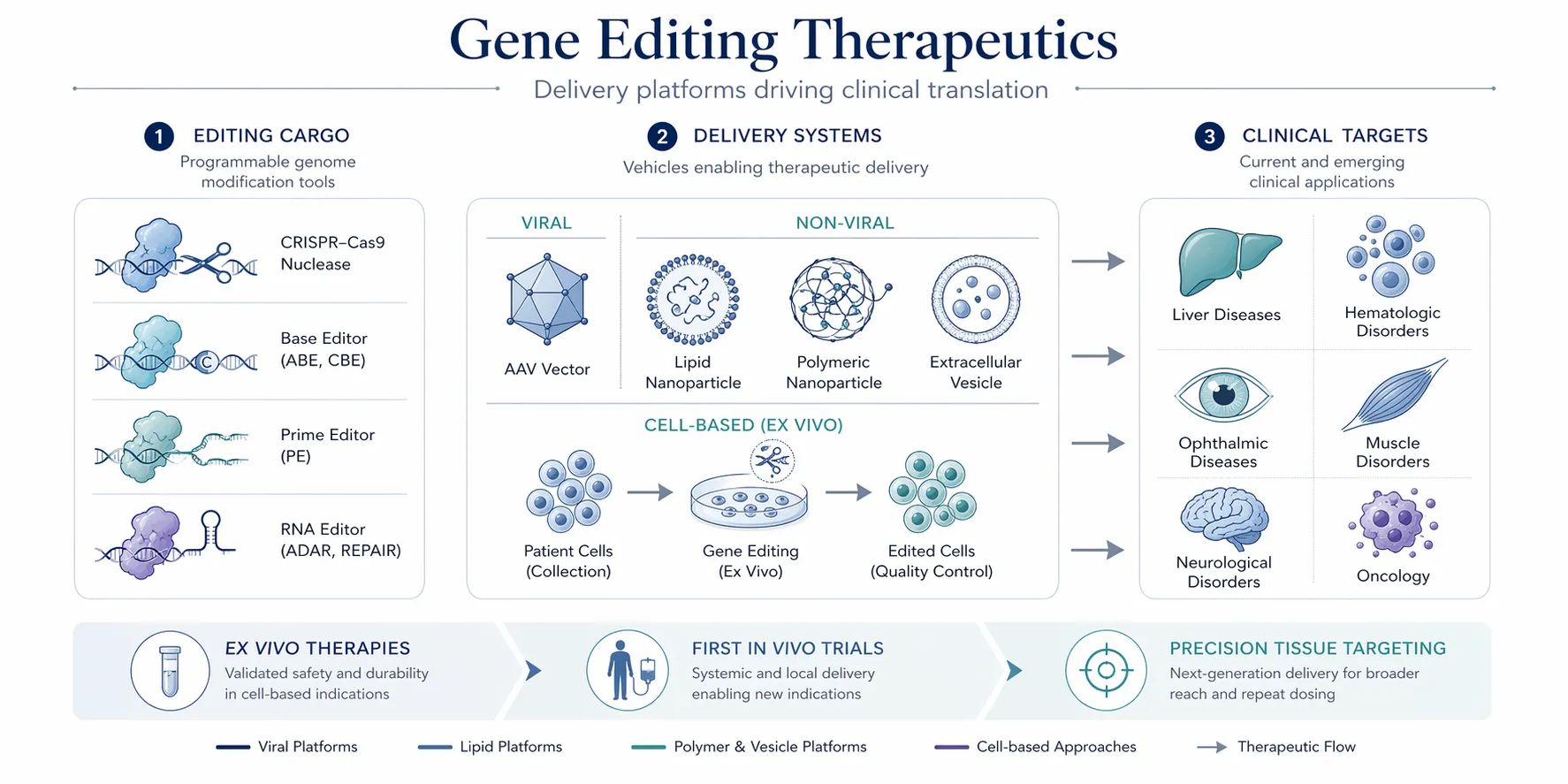 Innovative delivery systems for gene editing