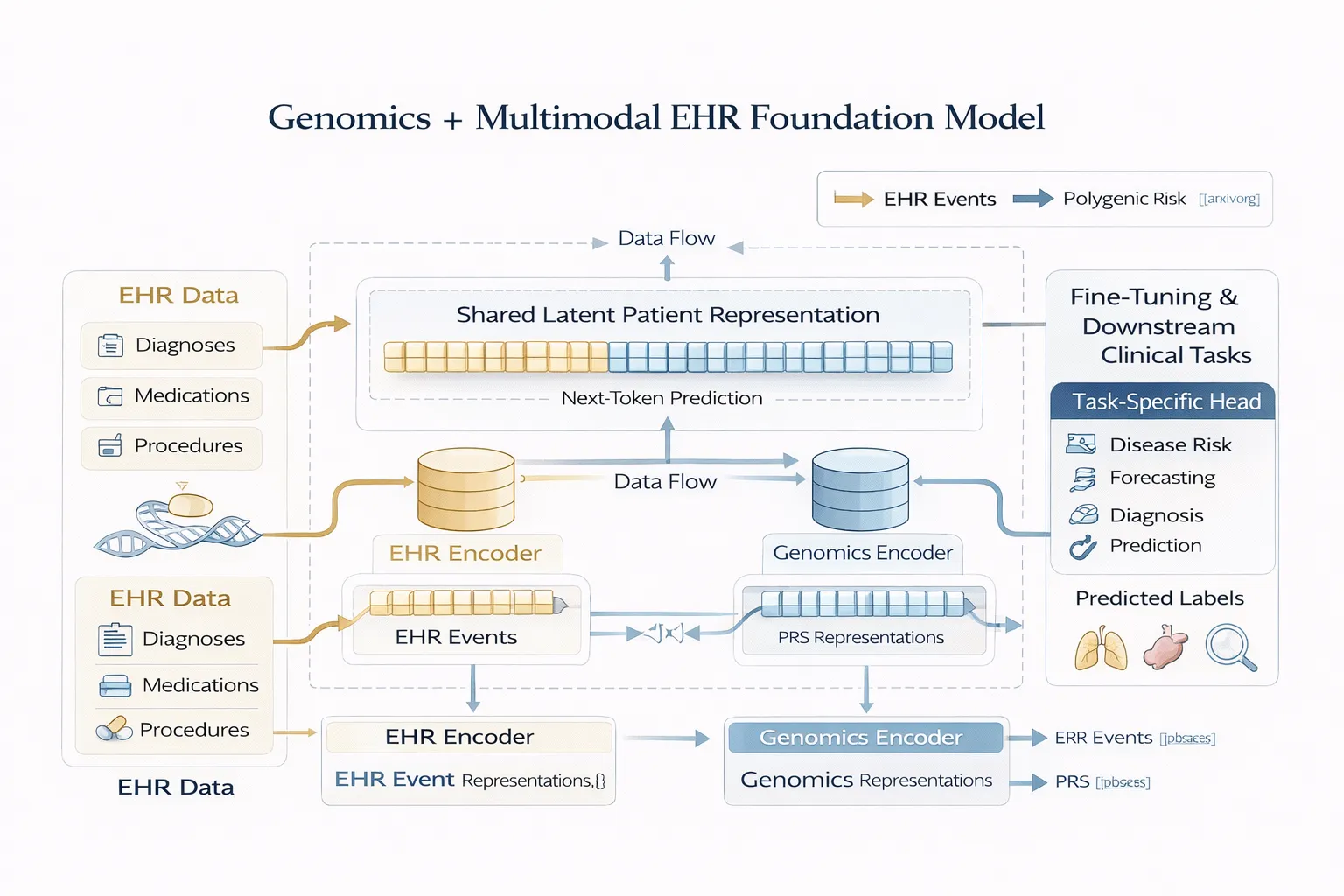 Multimodal EHR Foundation Models with Genomics Information